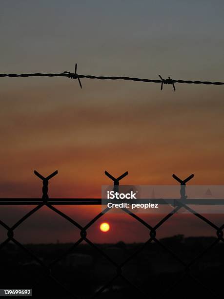 Inhaftiert Stockfoto und mehr Bilder von Federast - Federast, Fotografie, Gefängnis