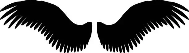 Vector illustration of Angel wings vector silhouette, wings isolated on white background, divine art concept