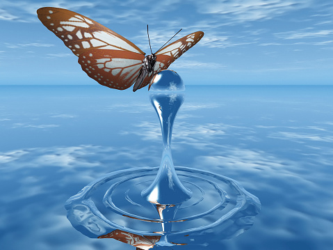 the butterfly and the drop of water