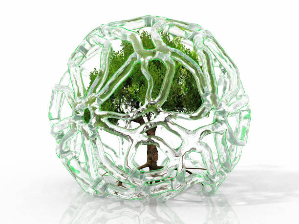 istock the green tree in the ice 1397000240
