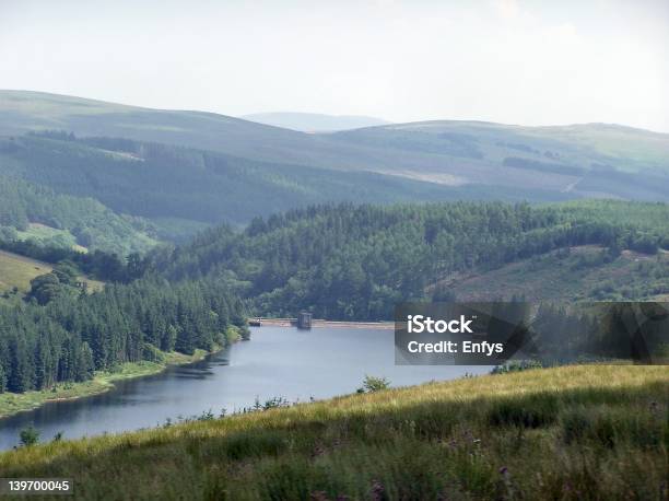 Reservatório De Montanha - Fotografias de stock e mais imagens de Ao Ar Livre - Ao Ar Livre, Brecon Beacons, Cena Não Urbana