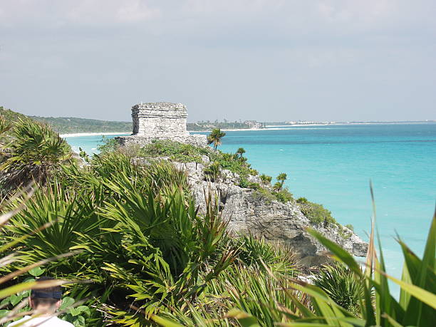 Castle on a Tropical Beech stock photo