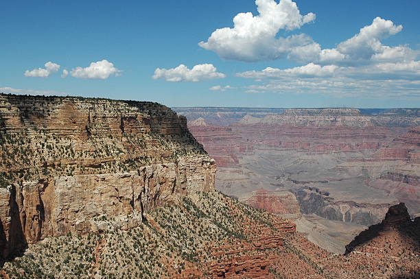 Looking Out - Grand Canyon stock photo