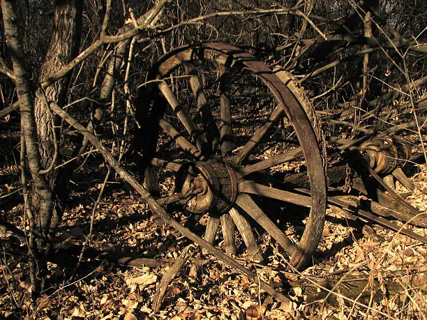 Abandoned wagonwheel in the trees