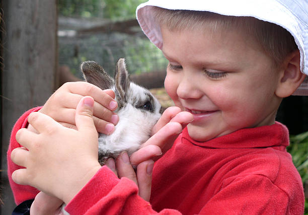 istock A boy in a red shirt smiling while holding a bunny rabbit 139700289