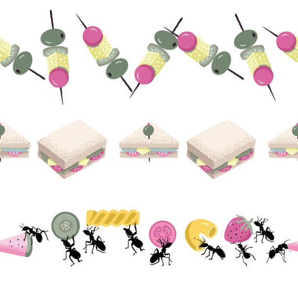 Ant Pattern Border 20+ Black Ants Background Stock Illustrations, Royalty-Free Vector ...