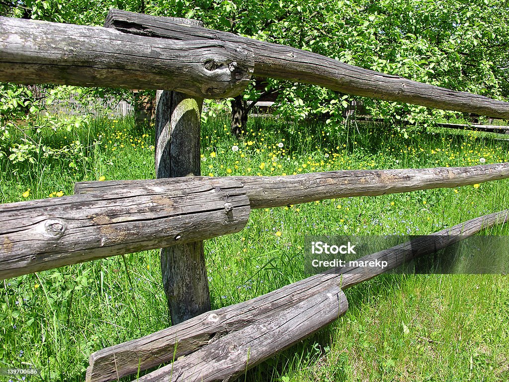 Drewniane ogrodzenie - Zbiór zdjęć royalty-free (Drewno - Tworzywo)