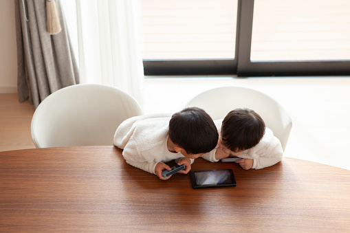 Little boys playing video games.
Brothers of 2 and 4 year old boys.