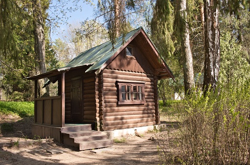 Small wooden house in forest. Forester or hunter wooden hut among the trees at summer.