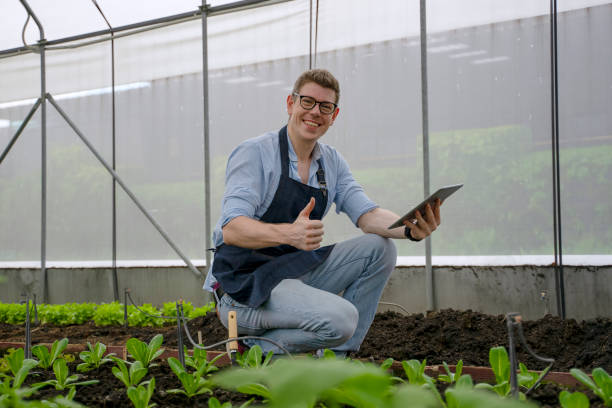 istock Young man is working at the organic farm. Planting vegetable. 1397009918