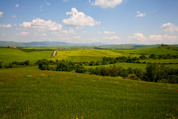 istock Toscana. Panorami primaverili della Val d'Orcia. Italia 1397009925