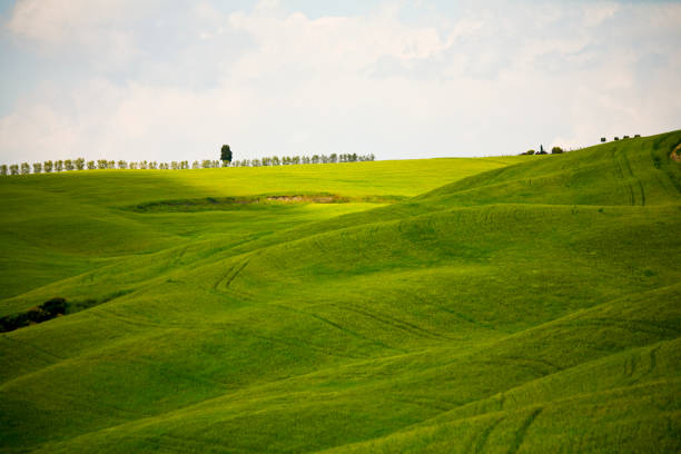 istock Toscana. Panorami primaverili della Val d'Orcia. Italia 1397010208