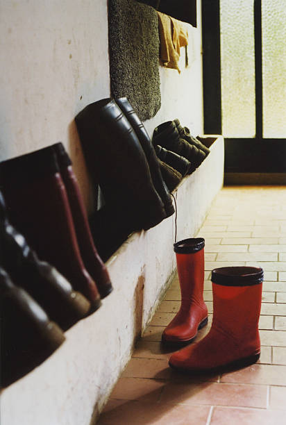 Little red gumboots stock photo