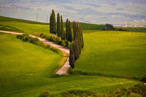 istock Toscana. Panorami primaverili della Val d'Orcia. Italia 1397010403