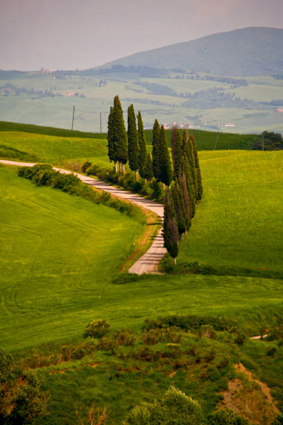 istock Tuscany. Spring views of the Val d'Orcia. Italy 1397010408