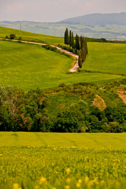 istock Toscana. Panorami primaverili della Val d'Orcia. Italia 1397010411