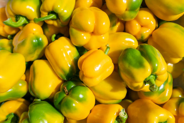 pimentão amarelo - pepper bell pepper growth ripe - fotografias e filmes do acervo