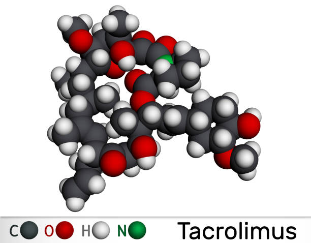 타크로리무스, fk-506 또는 후지마이신 분자. 그것은 강력한 면역 억제제입니다. 분자 모델. - fujimycin stock illustrations