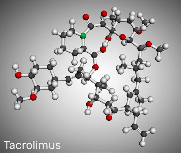 illustrations, cliparts, dessins animés et icônes de tacrolimus, fk-506 ou molécule de fujimycine. c’est un puissant agent immunosuppresseur. modèle moléculaire. - fujimycin