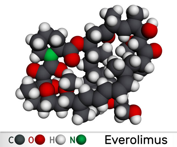 istock Everolimus molecule. It is derivative of Rapamycin (sirolimus), immunosuppressant to prevent rejection of organ transplants. Molecular model. 1397012989