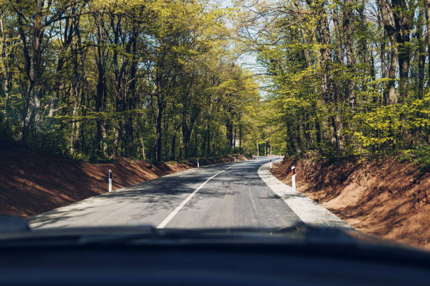 Driving through a nature reserve. Drivers point of view. Road trip to a national park.