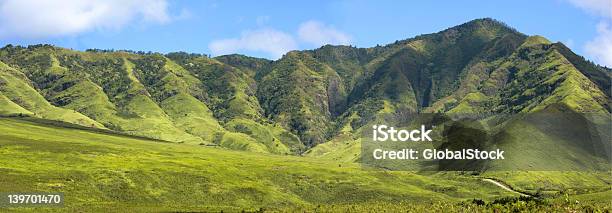 ハワイの緑豊かな山々を - くつろぐのストックフォトや画像を多数ご用意 - くつろぐ, まぶしい, アメリカ合衆国