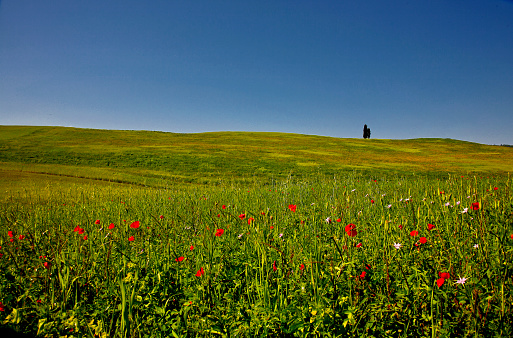 Spring views of the Val d'Orcia. Italy