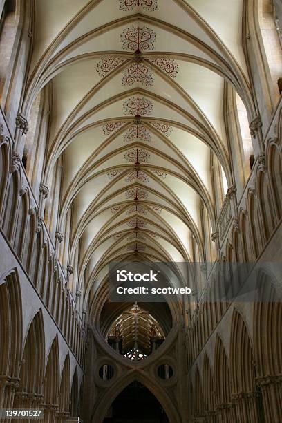 Soffitto A Volta Cattedrale Di Wells - Fotografie stock e altre immagini di Architettura - Architettura, Arco - Architettura, Cattedrale