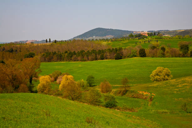 istock Spring views of the Val d'Orcia. Italy 1397015307