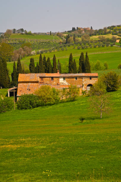 istock Spring views of the Val d'Orcia. Italy 1397015308