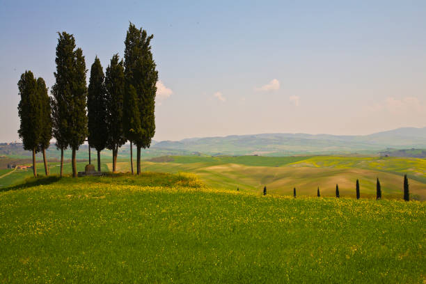 Spring views of the Val d'Orcia. Italy Spring views of the Val d'Orcia. Italy crete senesi stock pictures, royalty-free photos & images