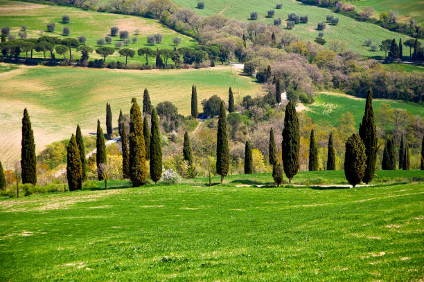 istock Spring views of the Val d'Orcia. Italy 1397015380