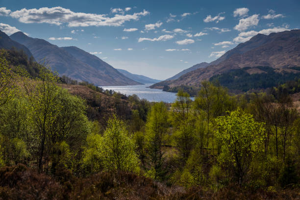 istock Loch Shiel in Scotland 1397015415