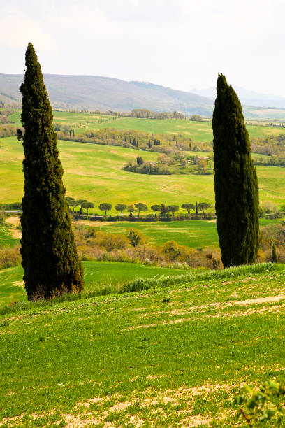 istock Panorami primaverili della Val d'Orcia. Italia 1397015426