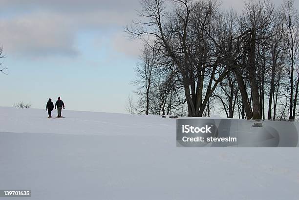 Shoeing De Neve No Parque - Fotografias de stock e mais imagens de Adulto - Adulto, Andar, Ao Ar Livre