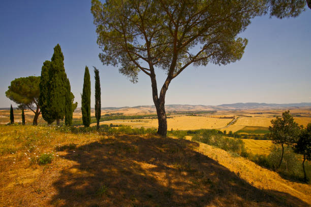 Tuscany, Italy. Beautiful blonde girl looking at a typical Tuscan landscape. Impressive image for the use you want to make of it.