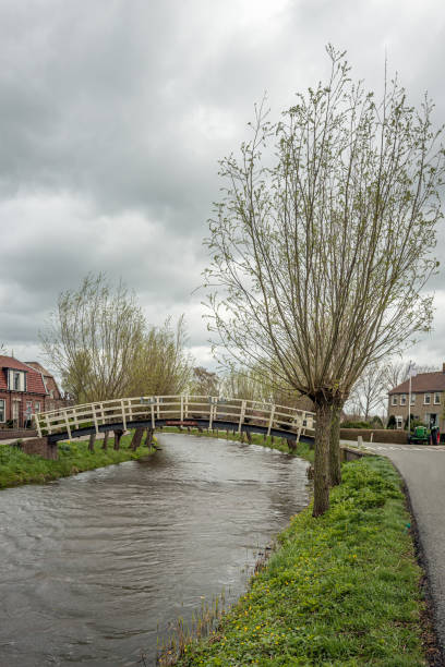 좁은 네덜란드 강 위의 작은 다리 - alblasserwaard 뉴스 사진 이미지