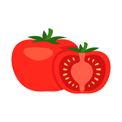 Tomato whole and half cut food. Cut vegetables into pieces. Cooking salad. Healthy food tomato. Vector illustration