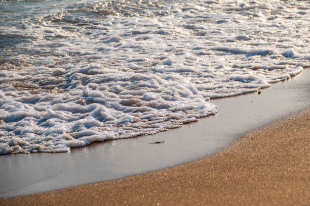istock Soft wave of the sea on the sandy beach. 1397019336