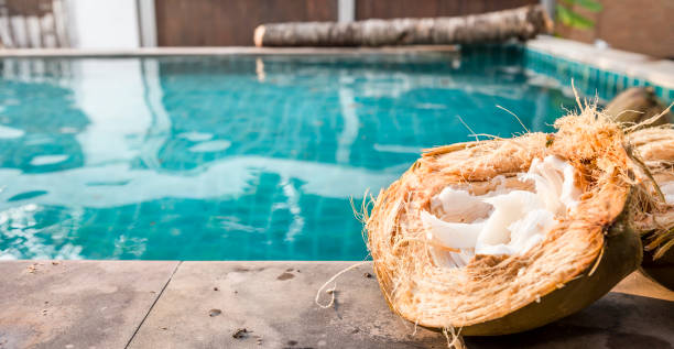 istock Young coconut meat in coconut shell on swimming pool edge 1397020760