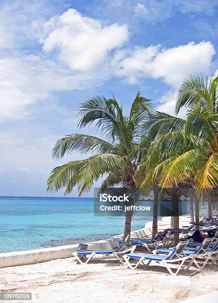 Palmtree Paradise Stock Photo - Download Image Now - Beach, Cozumel, Mexico