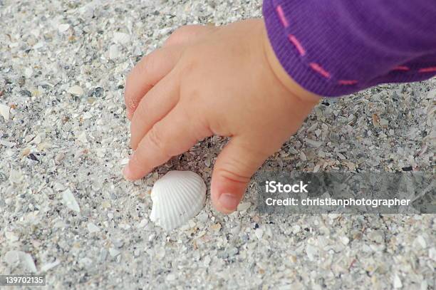 Look What I Found Stock Photo - Download Image Now - Animal Shell, Sandcastle - Structure, Beach