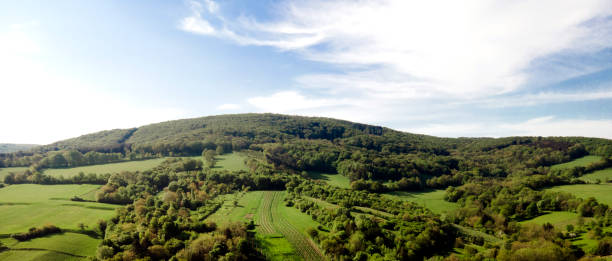 aerial drone flight over green meadows and forest