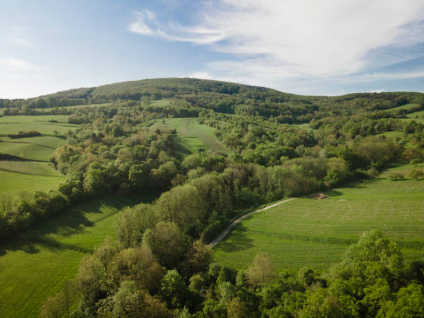 istock aerial drone flight over green meadows and forest 1397022456
