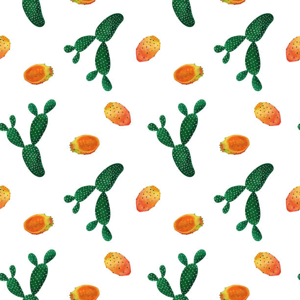 akwarelowe bezszwowe tło wzoru z kaktusem i soczystym - prickly pear fruit illustrations stock illustrations