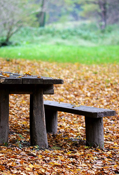 Bench stock photo