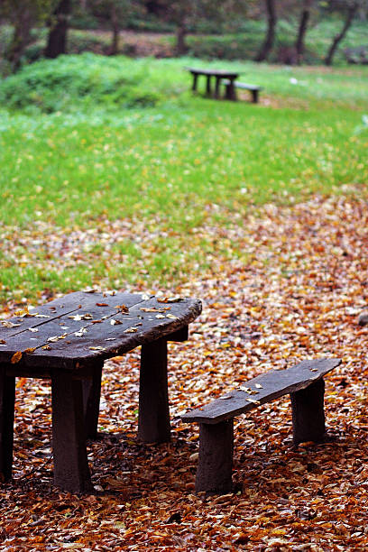 Benches in the park stock photo