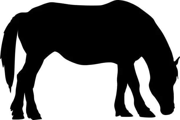 Vector illustration of Black silhouette of grazing horse isolated on white background