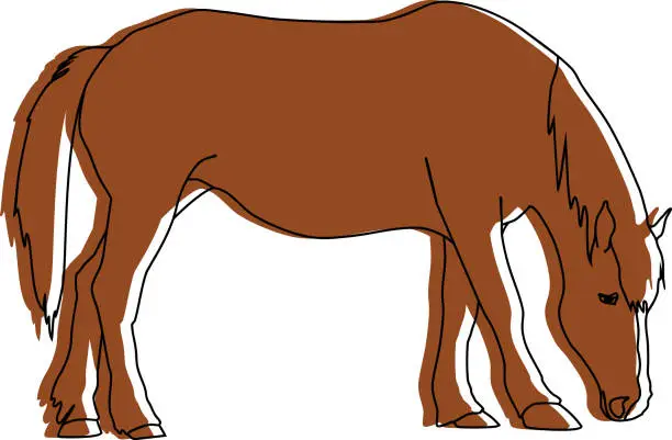 Vector illustration of Sketch of brown grazing horse isolated on white background