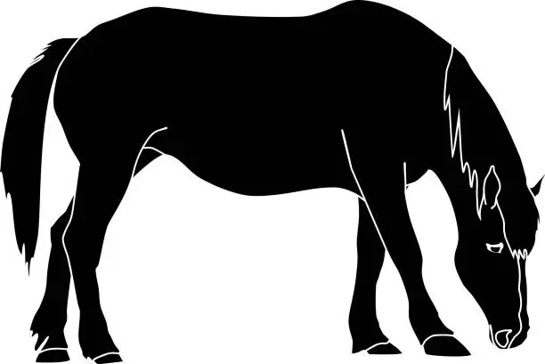 Vector illustration of Black silhouette of grazing horse isolated on white background